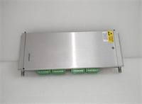 125720-01 BENTLY NEVADA 1